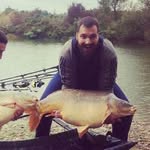 Darko Kovacevic - @darkokovacevic - Instagram