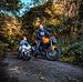Darko Minic - Facebook