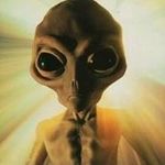 Darko Gago Pavlić - @pavlicdarko - Instagram