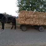 Darko Radovanovic - Facebook