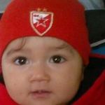Darko Radovanovic - @darko.radovanovic.165 - Instagram