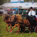 Darko Varga - Facebook