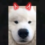 Darl Rose - @darl.rose.37625 - Instagram