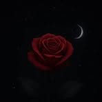 Darl Rose - Facebook