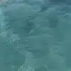 Darlaackerman766 - @darlaackerman766 - TikTok