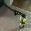 XD soy la roCA - @darlaallison2 - TikTok