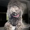 Darla Anderson942 - @darlaanderson27 - TikTok