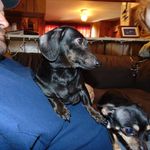 Darla Bailey - @darla.bailey.710 - Instagram