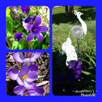 Darla Bain Huber - @darlahuber - Instagram