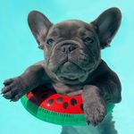 Darla Butterball - @darlabutterball - Instagram