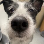Darla - @darlabarbaradesigns - Instagram