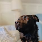 Darla - @darla.barrier - Instagram
