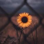 Darla Baxter - @darla.baxter_ - Instagram