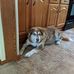 Darla Bean - Facebook