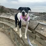 Darla Bean🩷 - @darla.bean - Instagram