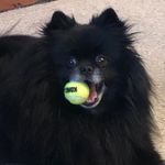 Darla Bean & Birdie Buttons - @darlaandbirdie - Instagram