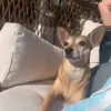 Darla Bean - @darla.the.bean - TikTok