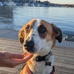 Darla Bean Gervase - @thatsmissdarlatoyou - Instagram