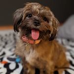 Darla "Beanarina" Beans - @darla.beans - Instagram