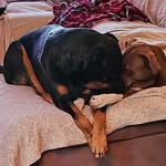 Darla Greene Bean - @darlagreenebean - Instagram