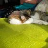 Darla Beatty - @darla.beatty - TikTok