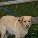 Darla Benedict - Facebook