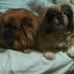 Darla Benson - Facebook