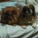 Darla Benson - @darla_benson - Instagram