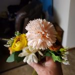 Darla Benson Zimny - @darlazimny - Instagram