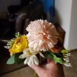 Darla Benson Zimny - @darla.zimny - Instagram
