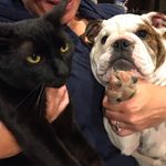 Darla and Bernard - @darla_and_bernie - Instagram