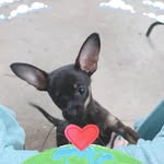 Darla J. Blacketer - @darlablacketer - Instagram
