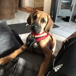 Darla-Blue - @darla_blue_2022 - Instagram
