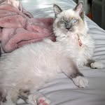 Darla blue eyes - @darla09092023 - Instagram