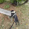 Darla - @darla.blue - TikTok