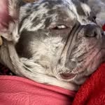 Darla - @darla_blue_eyes - Instagram