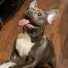 Darla Donovan - @babybluedarla - TikTok