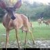 Darla Bohn - Facebook