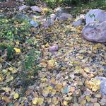 Darla Bowen - @azmom63 - Instagram
