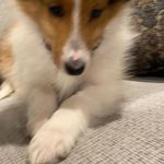 Darla Anne Bowman - @darlabowman64 - Instagram