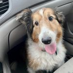 Darla Bowman - @darlabowman66 - Instagram