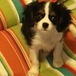 Darla Bowman - @darla.bowman.9235 - Instagram