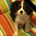 Darla Bowman - Facebook