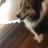 darlabowman786 - @darlabowman786 - TikTok