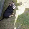 big dDarla Boyer - @big.ddarla.boyer - TikTok