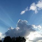 Darla Brooks - @brooksdarl - Instagram