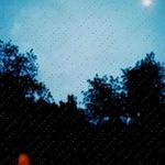Weimin Artmann - @darlaburger719 - Instagram