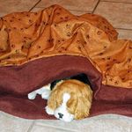 Darla Burmaster - @darlascozycreations - Instagram