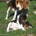 Darla Burmaster - Facebook