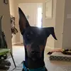 Darla Busch - @darlabusch - TikTok